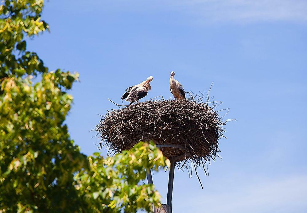 Spreewaldpension Andreas Krueger Schlepzig Exteriér fotografie
